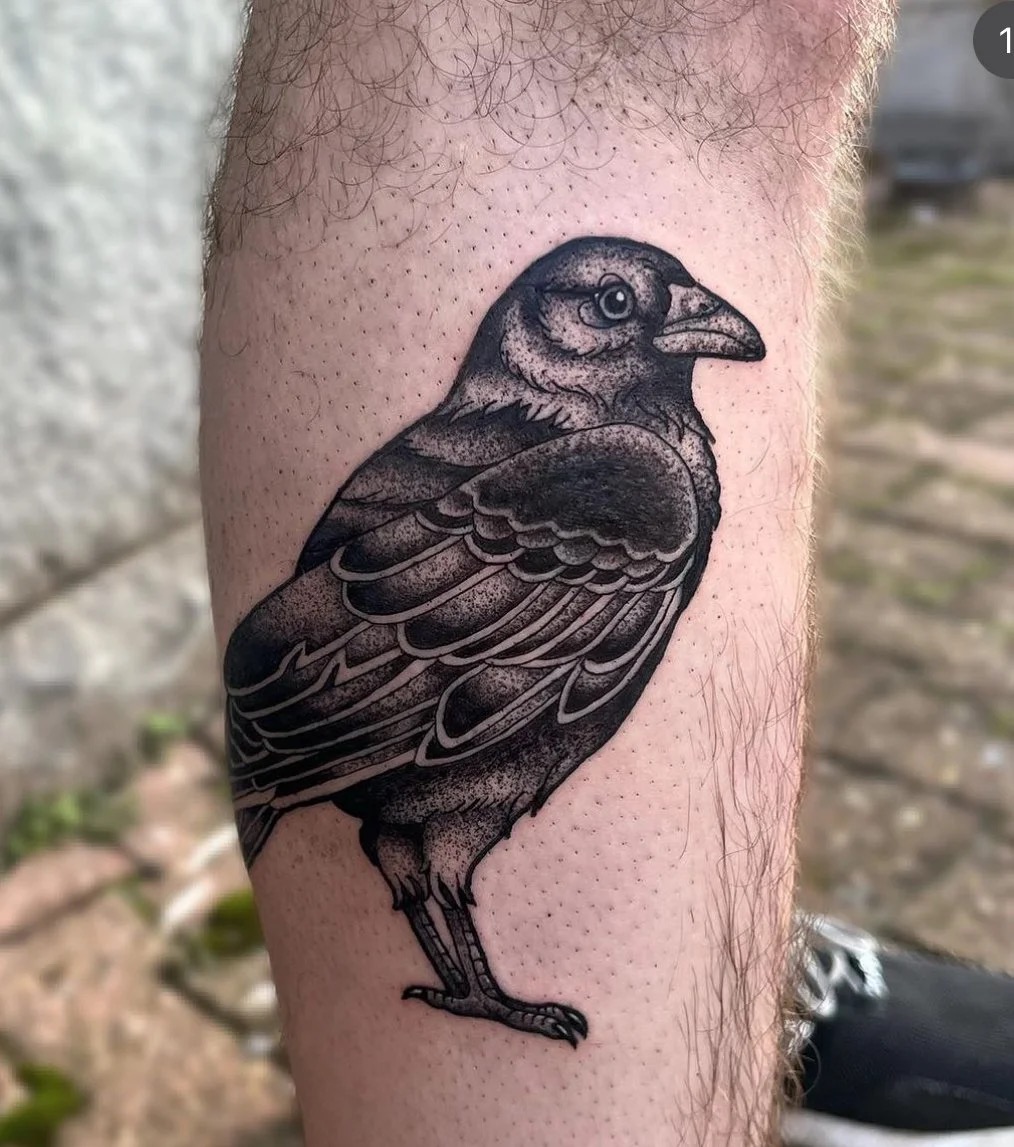 Blackwork raven tattoo